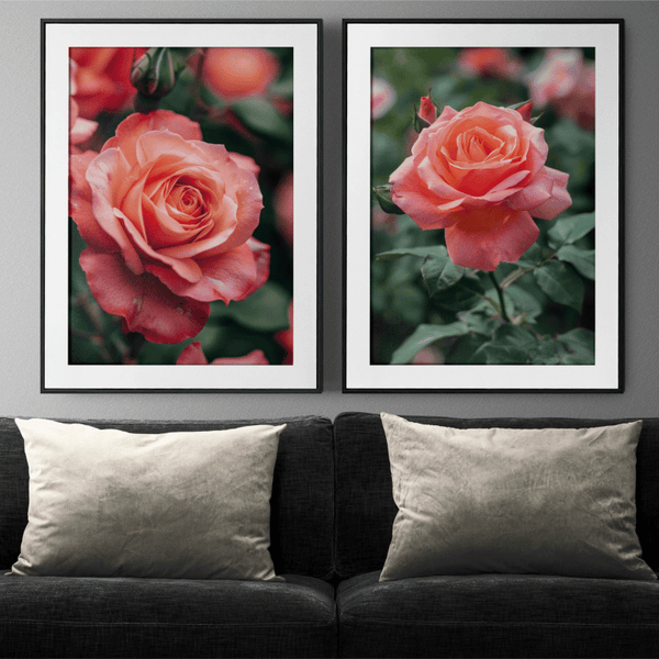 Blushing Pink Rose Digital Art Set