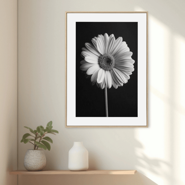 Black and White Gerbera Daisy Digital Art Print