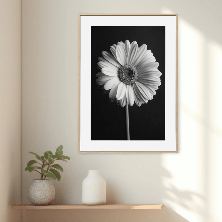 Black and White Gerbera Daisy Digital Art Print