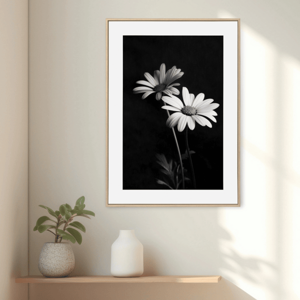 Black and White Daisy Digital Art Print