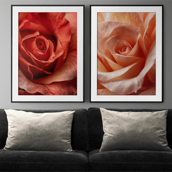 Elegant Rose Trio Digital Art Set