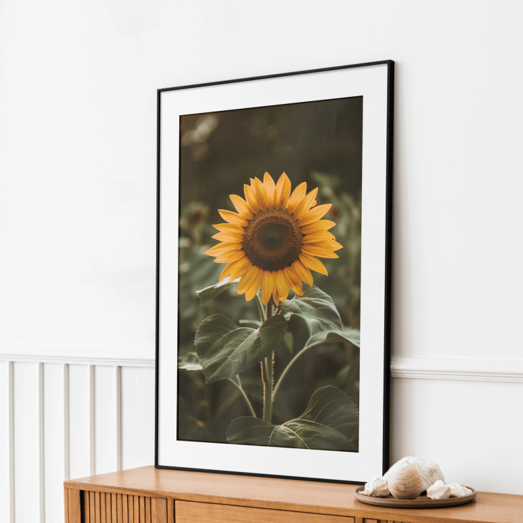 Moody Sunflower Digital Art Set