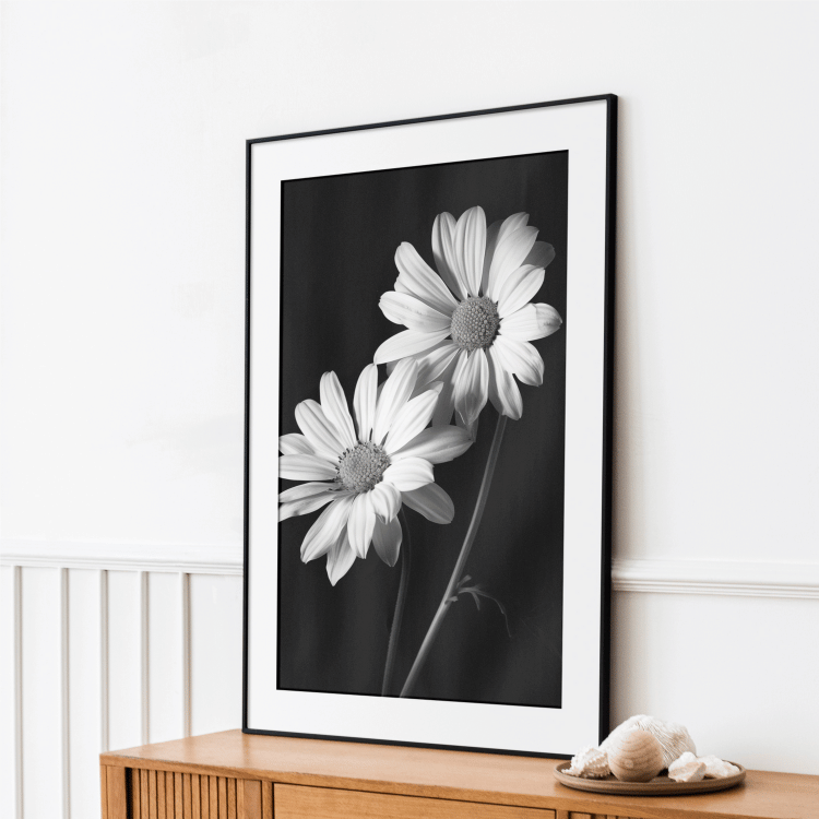 Black and White Daisy Pair Digital Art Print