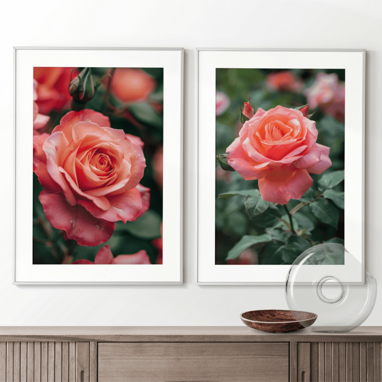 Blushing Pink Rose Digital Art Set