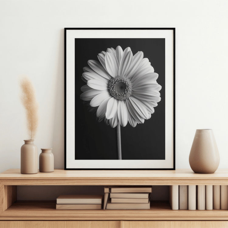 Black and White Gerbera Daisy Digital Art Print