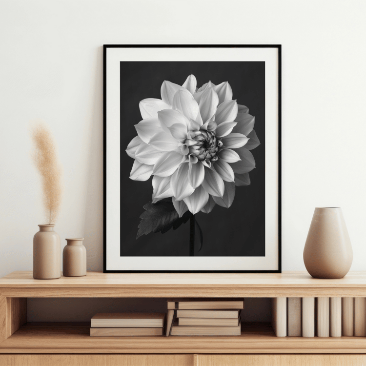 Black and White Dahlia Digital Art Print