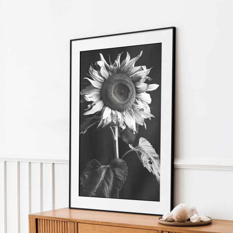 Black and White Sunflower Digital Art Set