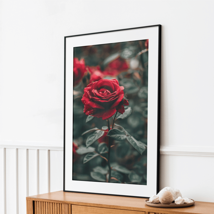 Romantic Red Rose Digital Art Set