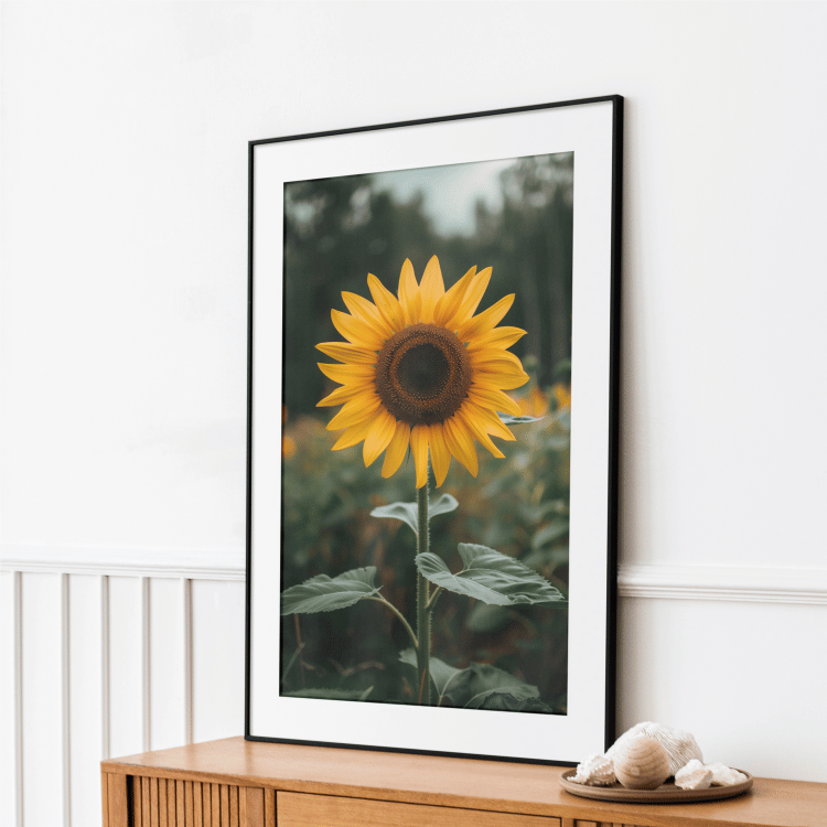 Rustic Sunflower Field Digital Art Set