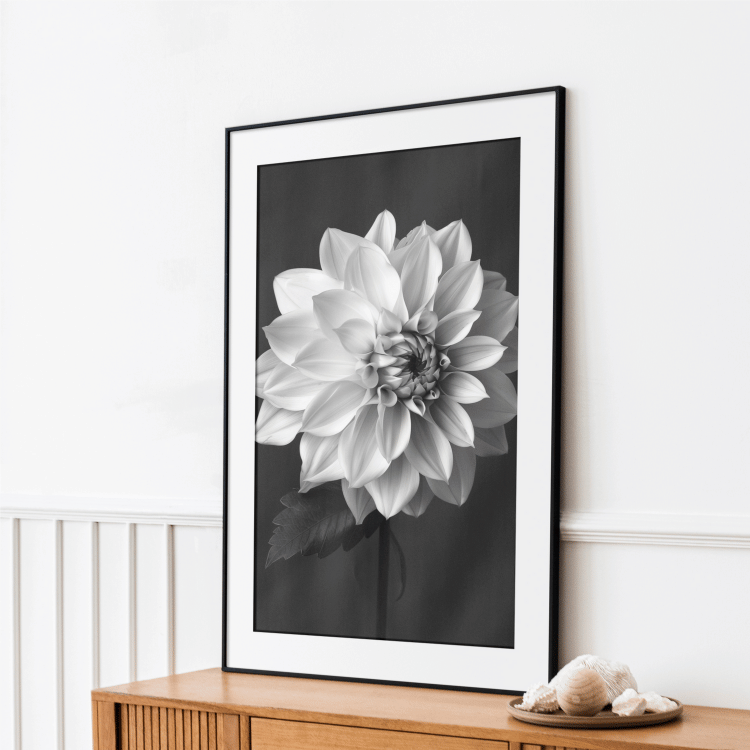 Black and White Dahlia Digital Art Print