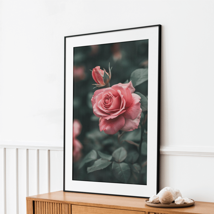 Blushing Pink Rose Digital Art Set