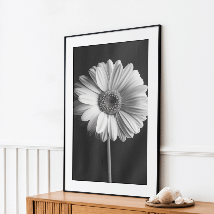 Black and White Gerbera Daisy Digital Art Print