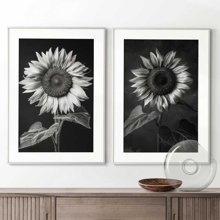 Black and White Sunflower Digital Art Set