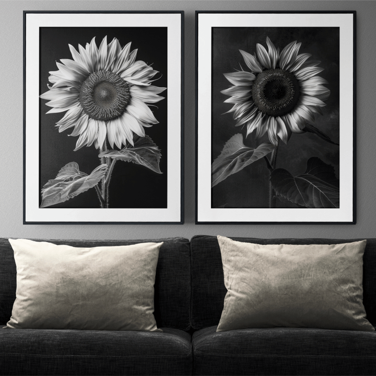 Black and White Sunflower Digital Art Set