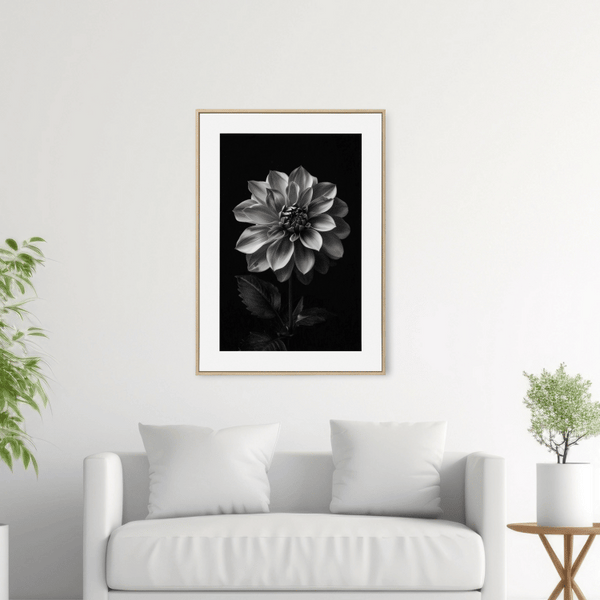 絵画　Dahlia Dahlia & Achillea - Botanical Photographic Fine Art Print