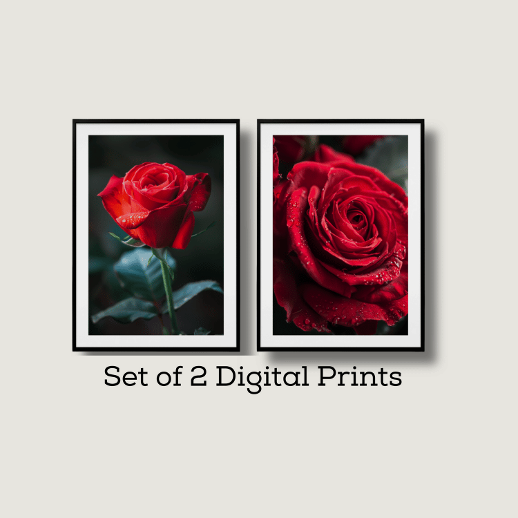 Dew-Kissed Red Rose Digital Art Set