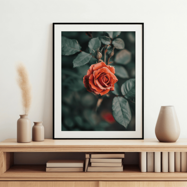 Romantic Red Rose Digital Art Set