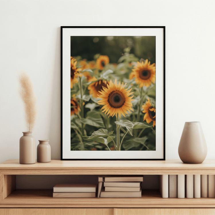 Rustic Sunflower Field Digital Art Set