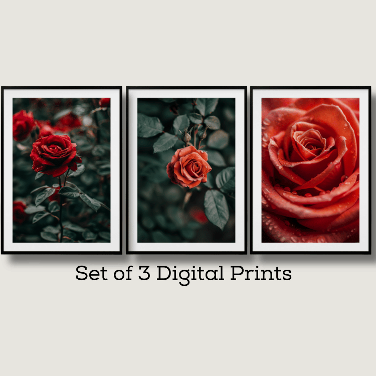 Romantic Red Rose Digital Art Set