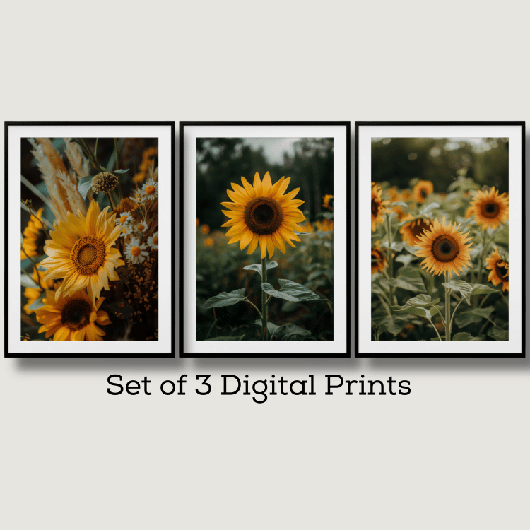 Rustic Sunflower Field Digital Art Set