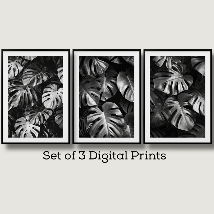 Monochrome Monstera Leaf Digital Art Set