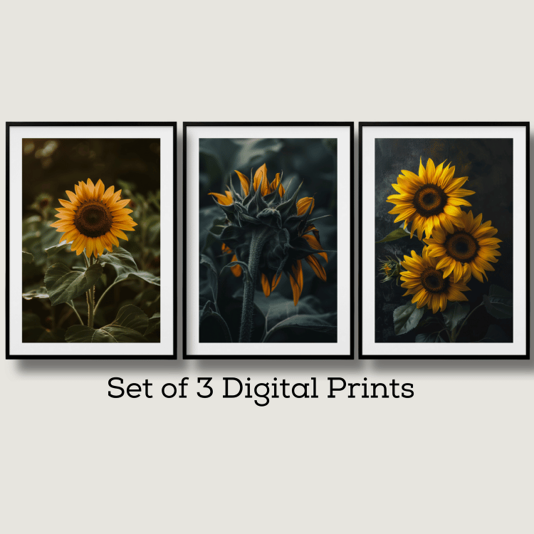 Moody Sunflower Digital Art Set