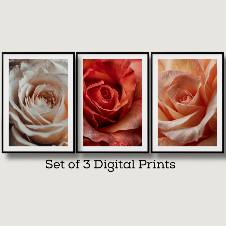 Elegant Rose Trio Digital Art Set