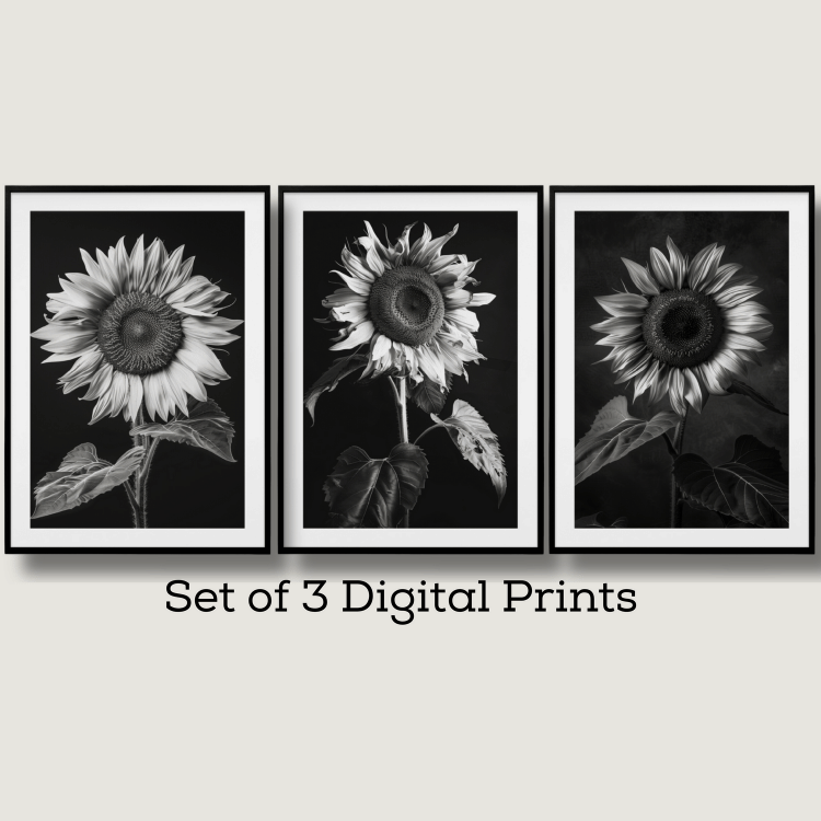 Black and White Sunflower Digital Art Set