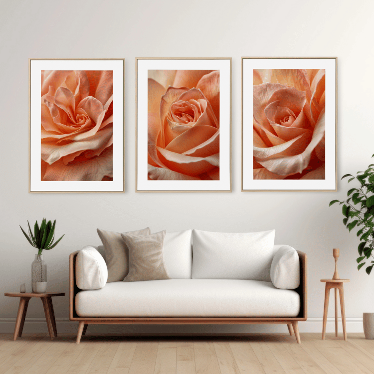 Radiant Peach Rose Digital Art Set