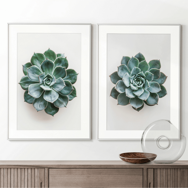 Minimalist Succulent Digital Art Set