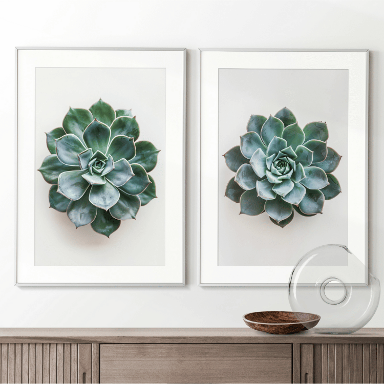 Minimalist Succulent Digital Art Set