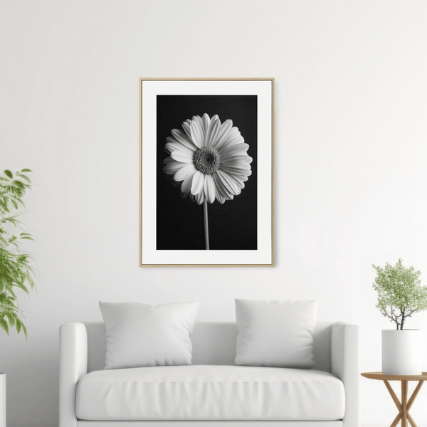 Black and White Gerbera Daisy Digital Art Print