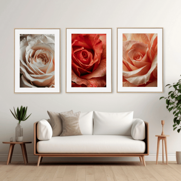 Elegant Rose Trio Digital Art Set