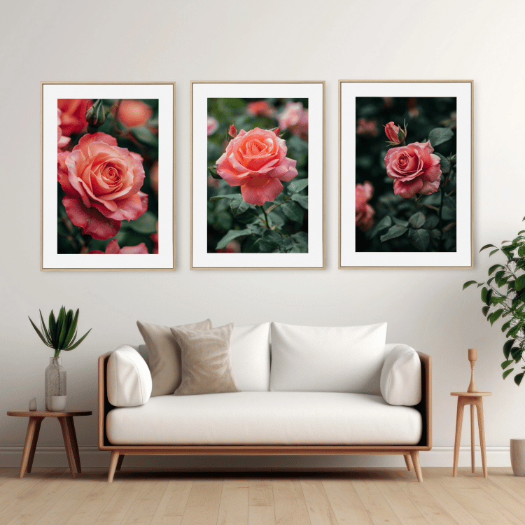 Blushing Pink Rose Digital Art Set