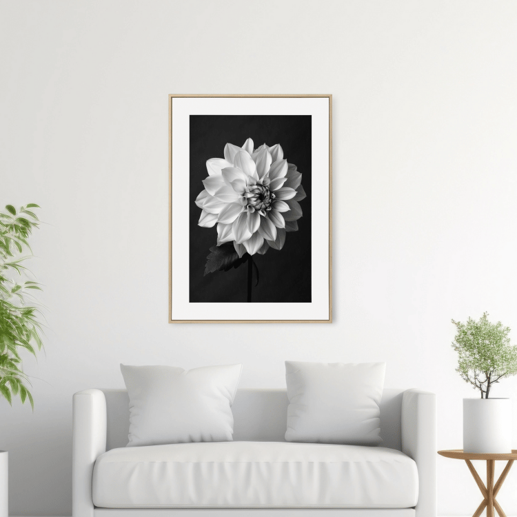 Black and White Dahlia Digital Art Print