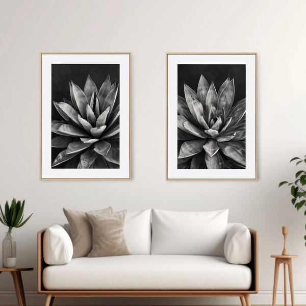 Black and White Succulent Digital Art Set