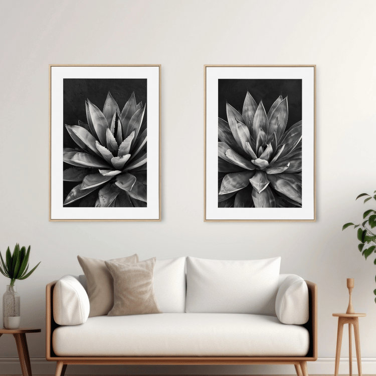 Black and White Succulent Digital Art Set