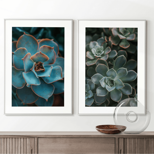 Vibrant Succulent Trio Photography Art Set