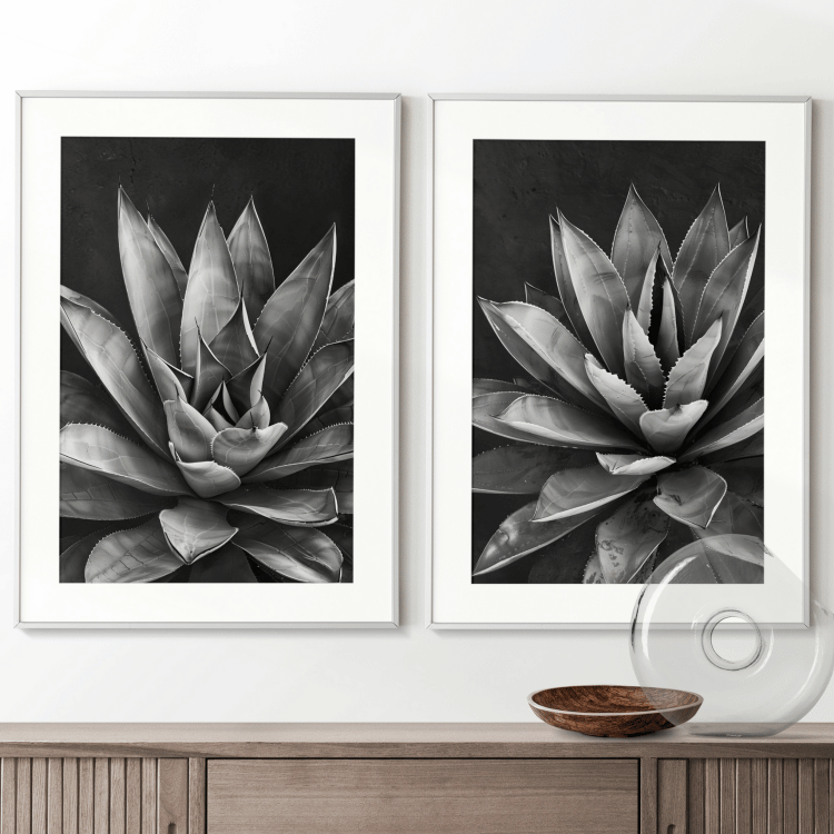 Monochrome Succulent Digital Art Set