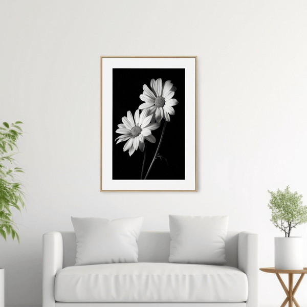 Black and White Daisy Pair Digital Art Print