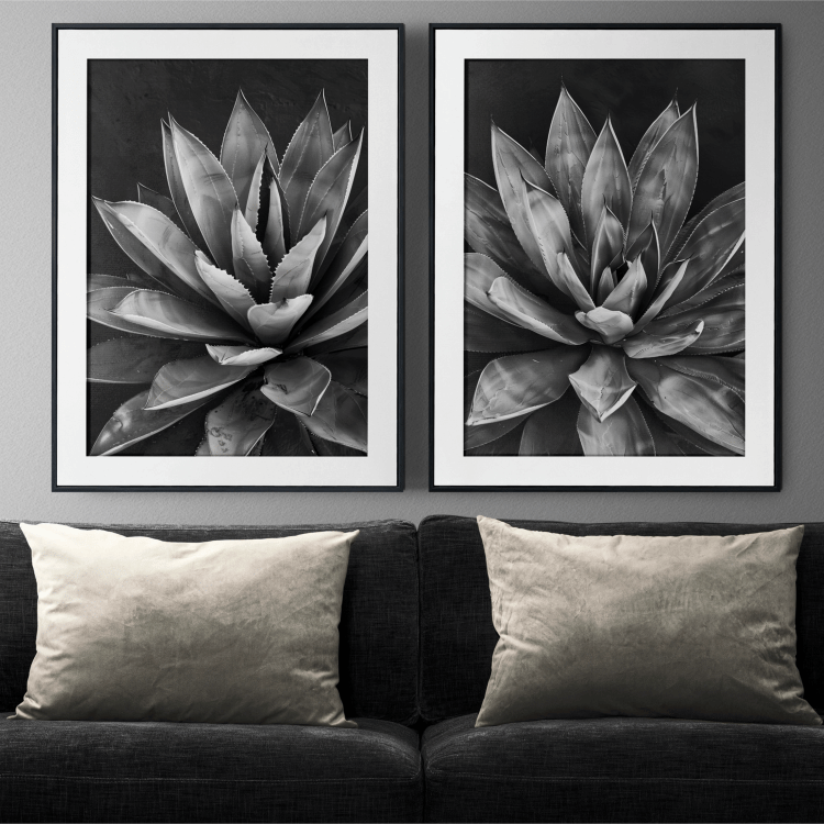 Black and White Succulent Digital Art Set