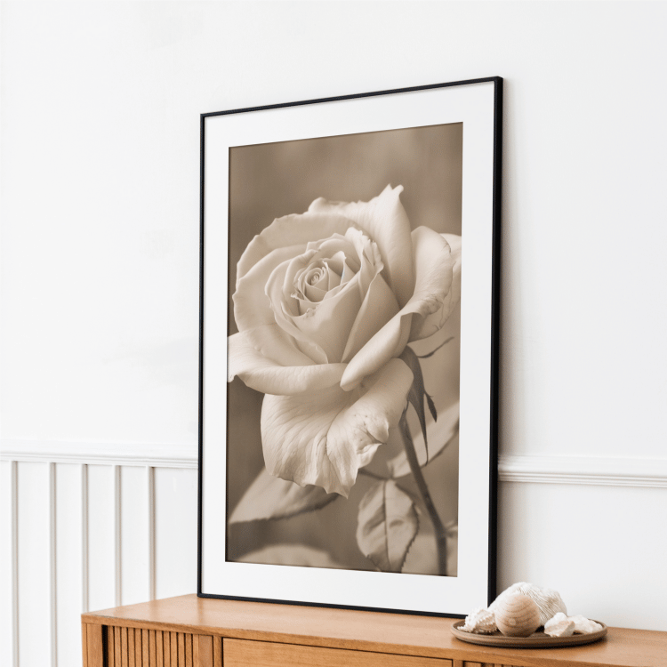 Vintage Sepia Rose Digital Art Set