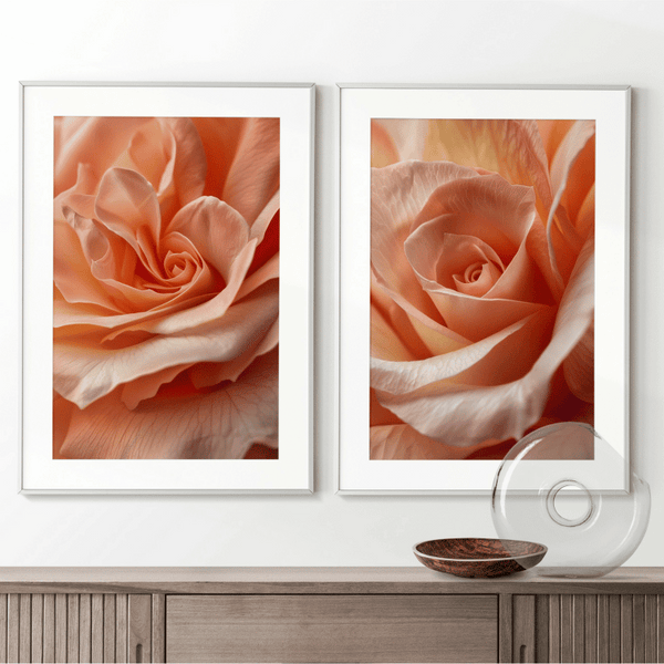 Radiant Peach Rose Digital Art Set