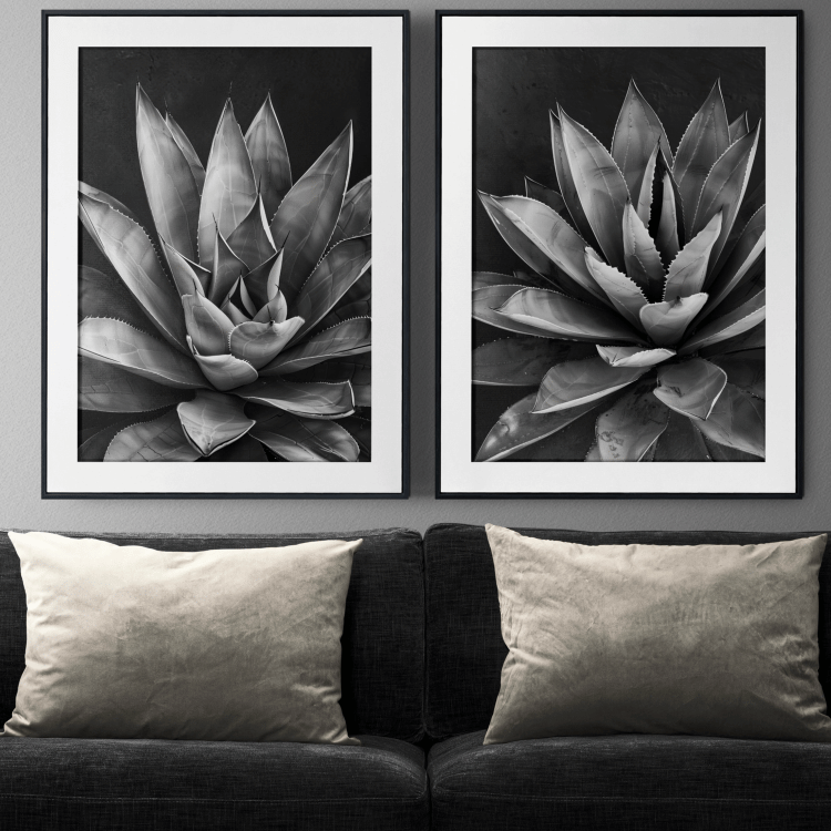 Monochrome Succulent Digital Art Set