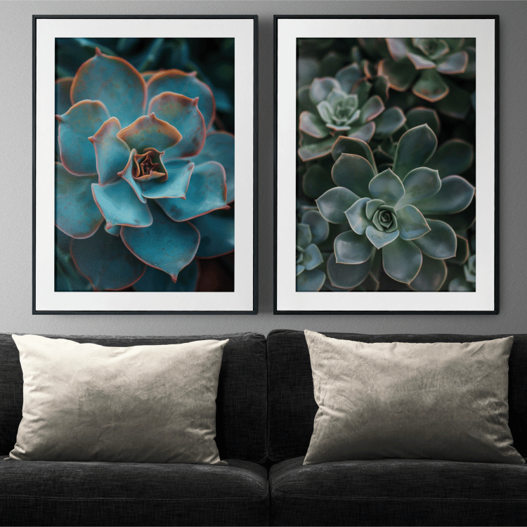 Vibrant Succulent Trio Photography Art Set