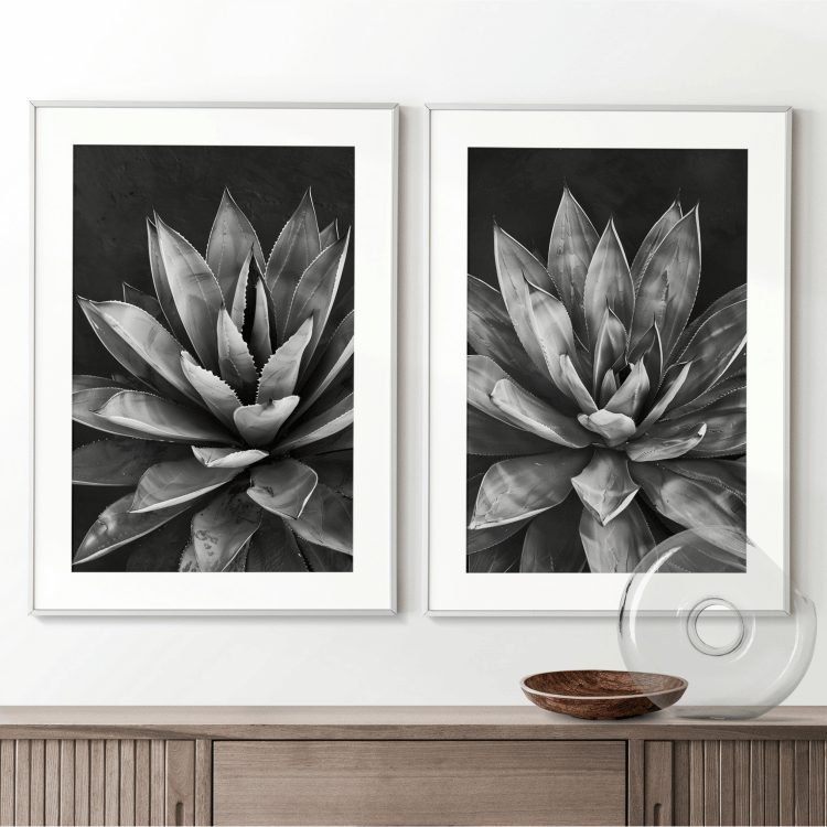 Black and White Succulent Digital Art Set