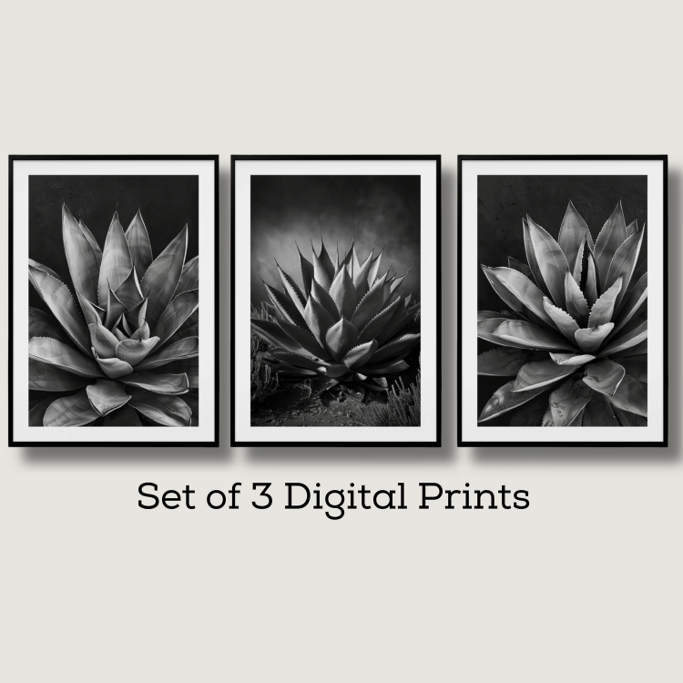 Monochrome Succulent Digital Art Set