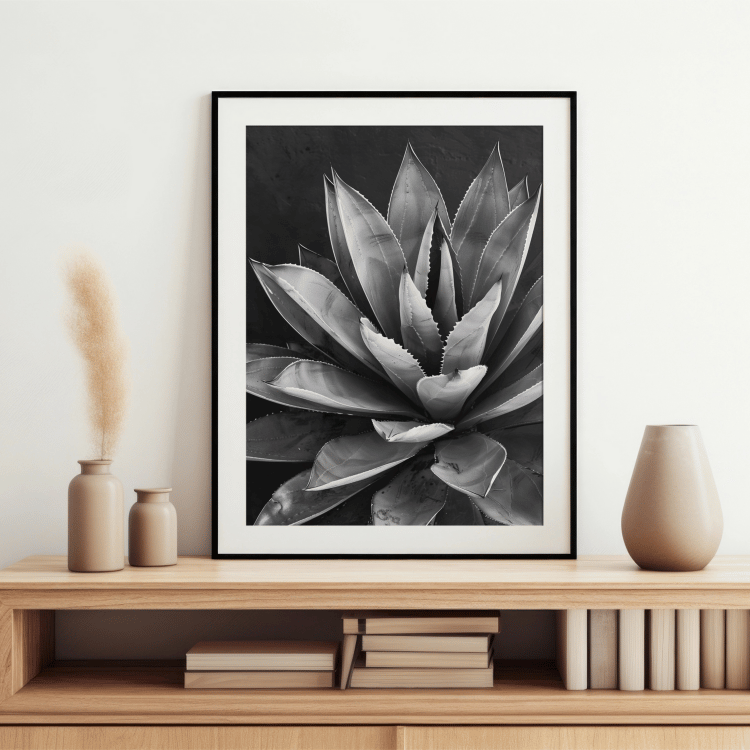 Black and White Succulent Digital Art Set