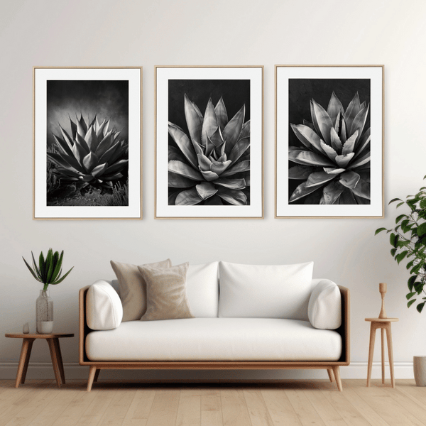 Monochrome Succulent Digital Art Set