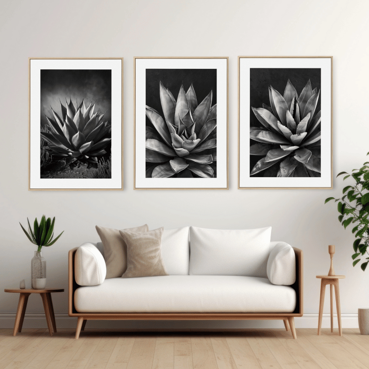 Monochrome Succulent Digital Art Set